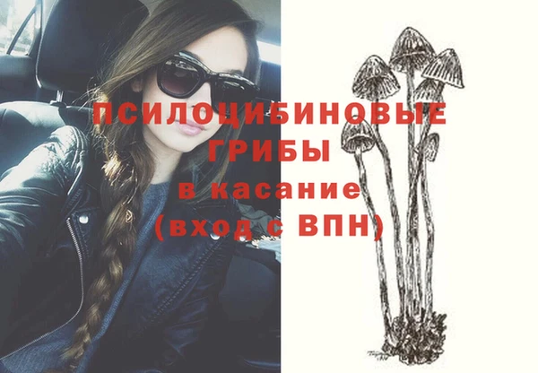 MDMA Медногорск