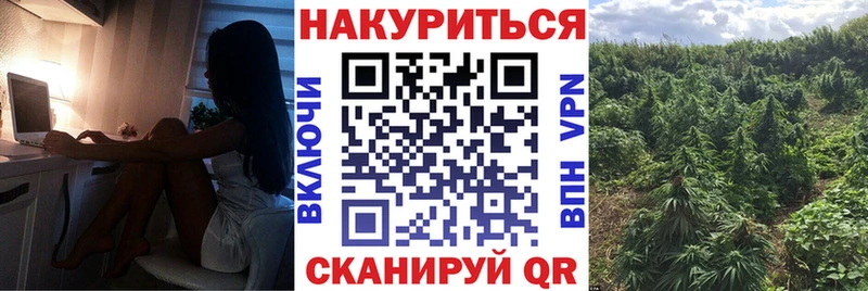 Каннабис конопля Темников